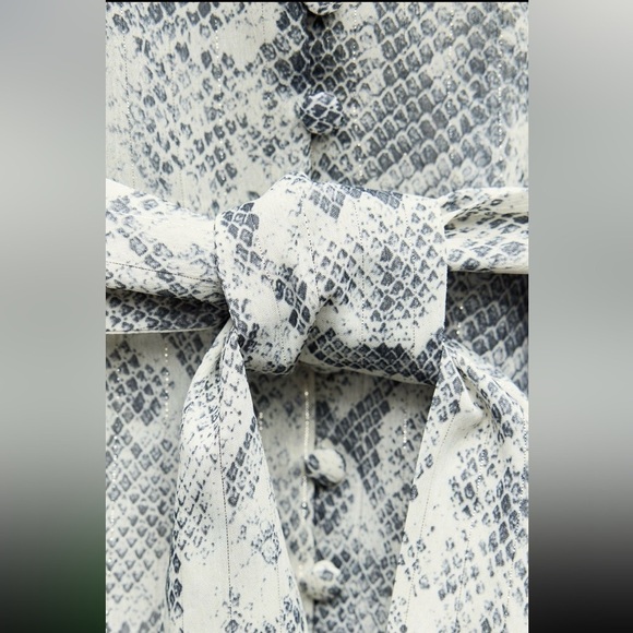 New ZARA Metalic Thread Animal Print Dress - Picture 5 of 6